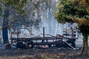 Crib Point Fire 2 056 